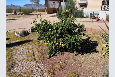 4233 W Mayan Drive, Golden Valley, AZ 86413 - Photo 58