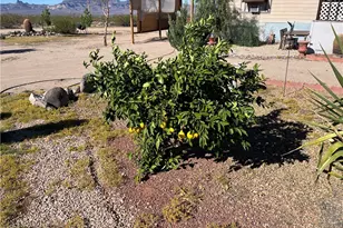 4233 W Mayan Dr, Golden Valley, AZ 86413 - Photo 58