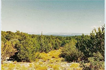 40Ac 314-54-009, Peach Springs, AZ 86434 - Photo 1