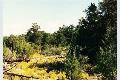 40Ac 314-54-009, Peach Springs, AZ 86434 - Photo 2