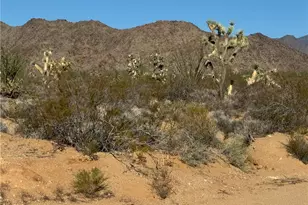 242-03-004 S Sundance Kid Rd, Yucca, AZ 86438 - Photo 1