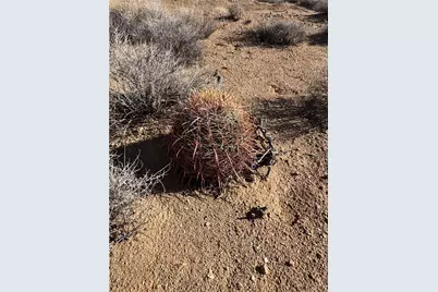 24203004 S Sundance Kid Rd Road, Yucca, AZ 86438 - Photo 18