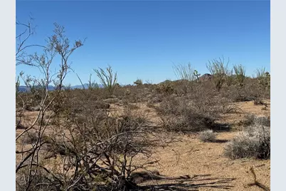 24212013 E Sundance Kid Rd, Yucca, AZ 86438 - Photo 8