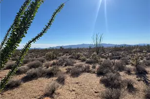 24212013 E Sundance Kid Rd, Yucca, AZ 86438 - Photo 1