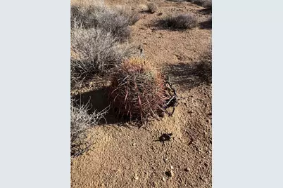 24212013 E Sundance Kid Rd, Yucca, AZ 86438 - Photo 16