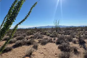 242-12-013 E Sundance Kid Rd, Yucca, AZ 86438 - Photo 1