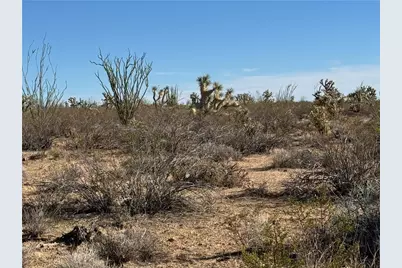 24212015 S Sundance Kid Rd, Yucca, AZ 86438 - Photo 10