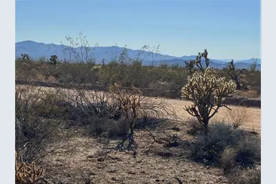 24212015 S Sundance Kid Rd, Yucca, AZ 86438 - Photo 1