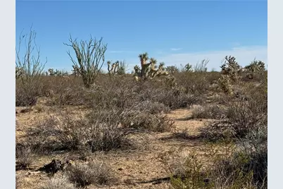 242-12-015 S Sundance Kid Road, Yucca, AZ 86438 - Photo 10