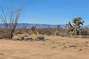 14176 S Nash Rd, Yucca, AZ 86438 - Photo 24