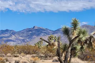 14176 S Nash Rd, Yucca, AZ 86438 - Photo 26