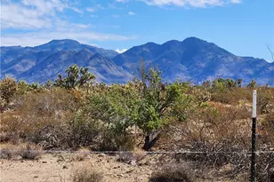 14176 S Nash Rd, Yucca, AZ 86438 - Photo 22