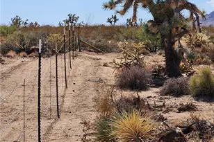 14176 S Nash Rd, Yucca, AZ 86438 - Photo 24