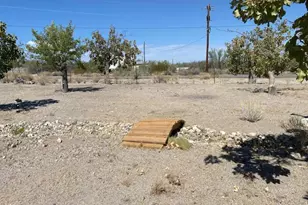 18013 Cholla Chuck Dr, Wikieup, AZ 85360 - Photo 54