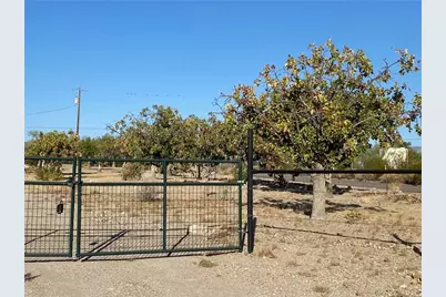 18013 Cholla Chuck Drive, Wikieup, AZ 85360 - Photo 58