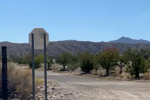 18013 Cholla Chuck Dr, Wikieup, AZ 85360 - Photo 52