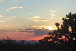 18013 Cholla Chuck Dr, Wikieup, AZ 85360 - Photo 42