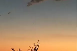 18013 Cholla Chuck Dr, Wikieup, AZ 85360 - Photo 66