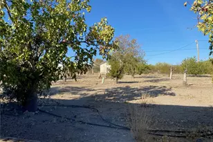 18013 Cholla Chuck Dr, Wikieup, AZ 85360 - Photo 62