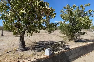 18013 Cholla Chuck Dr, Wikieup, AZ 85360 - Photo 48