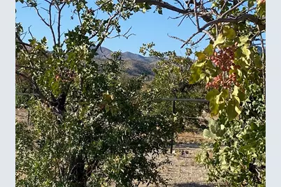 18013 Cholla Chuck Drive, Wikieup, AZ 85360 - Photo 46