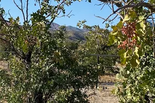 18013 Cholla Chuck Dr, Wikieup, AZ 85360 - Photo 46