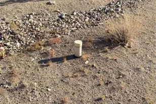 18013 Cholla Chuck Dr, Wikieup, AZ 85360 - Photo 60