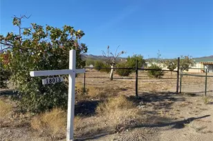 18013 Cholla Chuck Dr, Wikieup, AZ 85360 - Photo 56