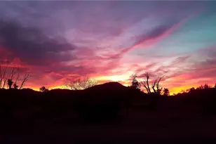 18013 Cholla Chuck Dr, Wikieup, AZ 85360 - Photo 68