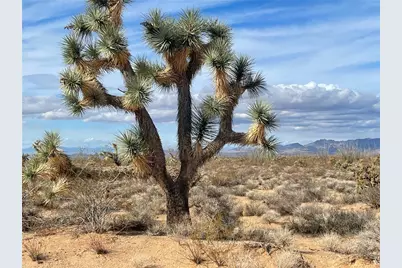 242-10-007 S Gene Autry Road, Yucca, AZ 86438 - Photo 6
