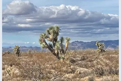 947 S Gene Autry, Yucca, AZ 86438 - Photo 8