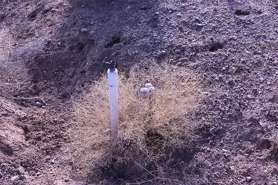 Unit 10 Chuckwagon E Chuckwagon Drive, Kingman, AZ 86401 - Photo 20