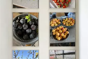 3650 S Blue Stone Rd, Kingman, AZ 86401 - Photo 42