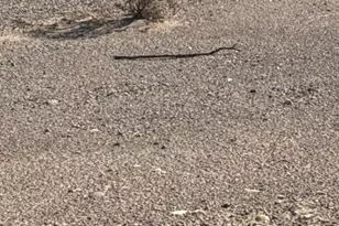 4070 Tierra Vista Dr, Yucca, AZ 86438 - Photo 1