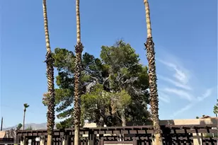 201 Riverfront Dr, Bullhead City, AZ 86442 - Photo 2