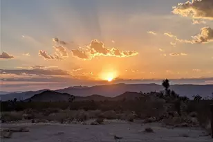 13505 S Alan Rd, Yucca, AZ 86438 - Photo 32