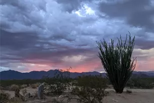 13505 S Alan Rd, Yucca, AZ 86438 - Photo 34