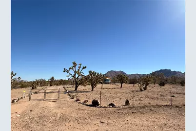 328-03-430 Mt Loco Drive, Dolan Springs, AZ 86441 - Photo 20
