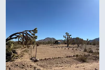 Lot 476 Mt Loco Drive, Dolan Springs, AZ 86441 - Photo 4