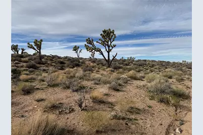 27335 N Pear Avenue, Meadview, AZ 86444 - Photo 6