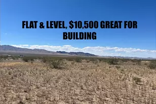 317-32-469 Sandra Dr, Dolan Springs, AZ 86441 - Photo 1