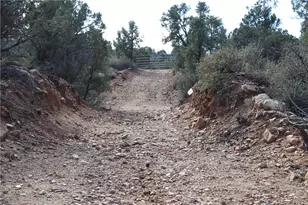 10387 E Amber Ct, Hackberry, AZ 86411 - Photo 40