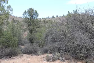 10387 E Amber Ct, Hackberry, AZ 86411 - Photo 46