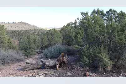 10387 E Amber Court, Hackberry, AZ 86411 - Photo 36