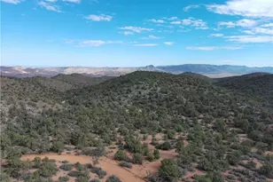 10387 E Amber Ct, Hackberry, AZ 86411 - Photo 60