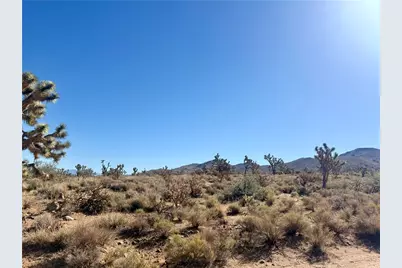 327-07-284 20th Street, Dolan Springs, AZ 86441 - Photo 6