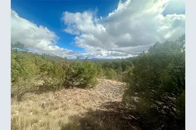 31900 W Bad Dog Road, Seligman, AZ 86337 - Photo 6