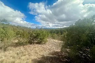 31900 W Bad Dog Rd, Seligman, AZ 86337 - Photo 6