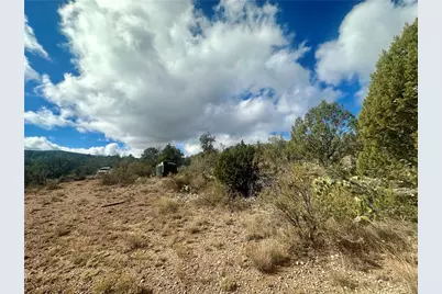 31900 W Bad Dog Road, Seligman, AZ 86337 - Photo 8