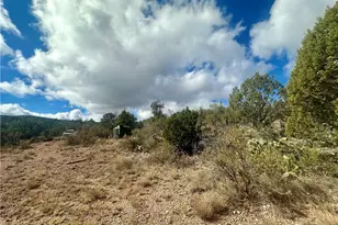 31900 W Bad Dog Rd, Seligman, AZ 86337 - Photo 8